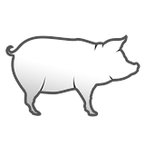 binary-improvements2/WebServer/webserver/static/media/ui_game_symbol_tracking_pig.b7563c410d208abd634c.png